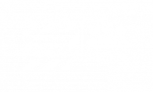 BSC_1