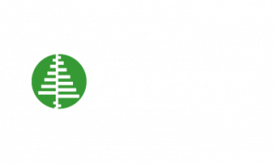 timcon_1